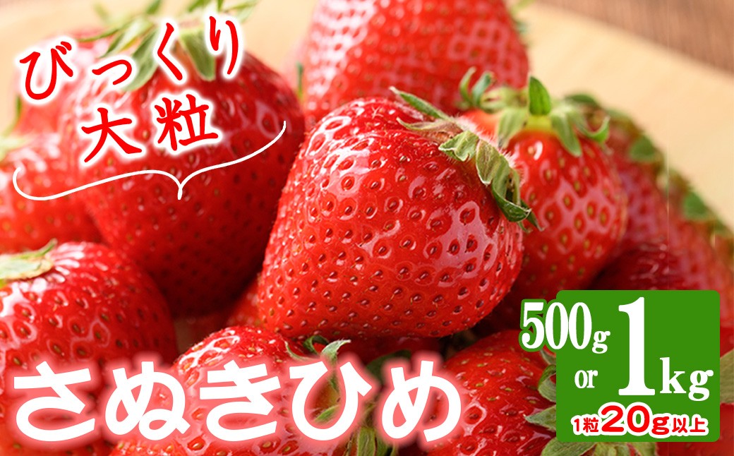 
                  ＜期間限定！2026年3月下旬以降順次発送予定＞＜選べる容量＞大粒！香川県産 さぬきひめいちご(約500g・約1㎏/1粒20g以上) 【man104・man105】【Aglio nero】
                
