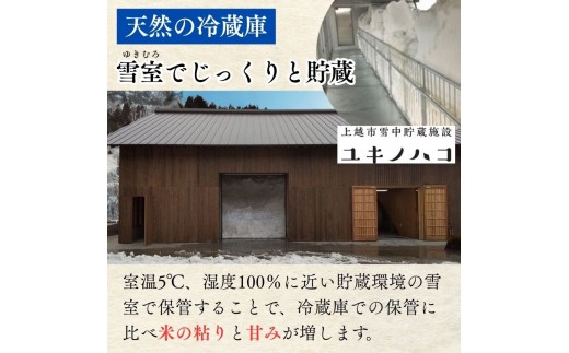令和8年産 先行予約 新潟県 上越市産米 にじのきらめき 定期便 5kg×6回 計30kg 6か月 新米 精米 虹のきらめき 米ヴィレッジさんわ 上越市三和区