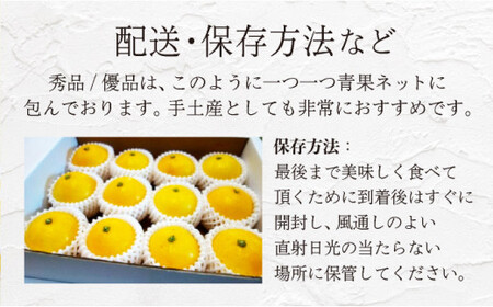 ＜先行予約＞【優品】西内小夏 10kg　N55 [NU-06] 【西内農園】