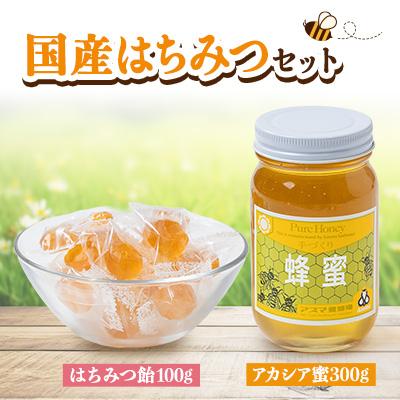 ふるさと納税 富田林市 国産蜂蜜セット(アカシア蜜とはちみつキャンディ) はちみつと飴の詰合せ