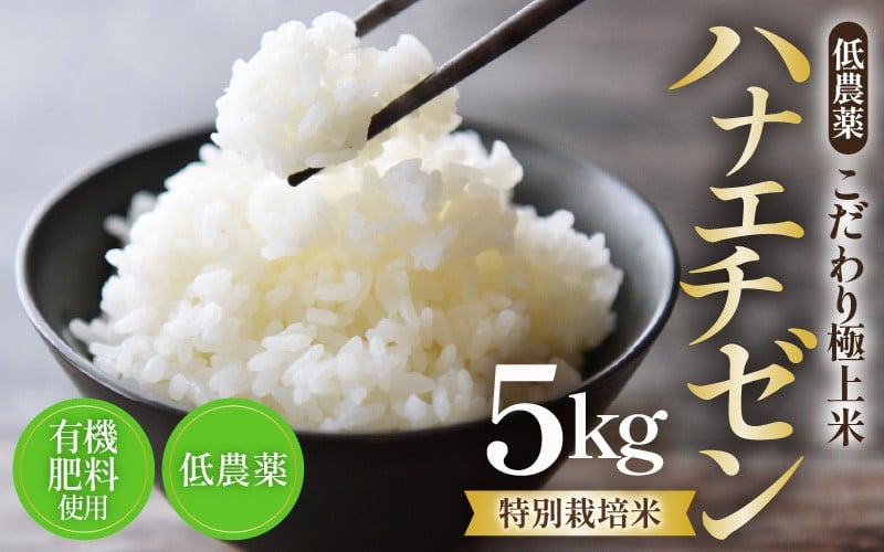 
                  【先行予約】【令和8年産・新米】特別栽培米 ハナエチゼン 5kg  低農薬 《こだわり極上米》 / 福井県 あわら 北陸 米 お米 人気 ※2026年9月上旬以降順次発送 [aw032-a017]
                