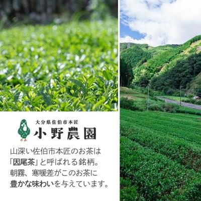ふるさと納税 佐伯市 特選 釜炒り茶 因尾茶 (計240g・80g×3P) |  | 01