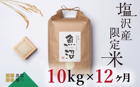 【定期便令和7年産】南魚沼コシヒカリ10kg×全12回　旧塩沢地区限定米【2025年9月中旬より順次発送予定】