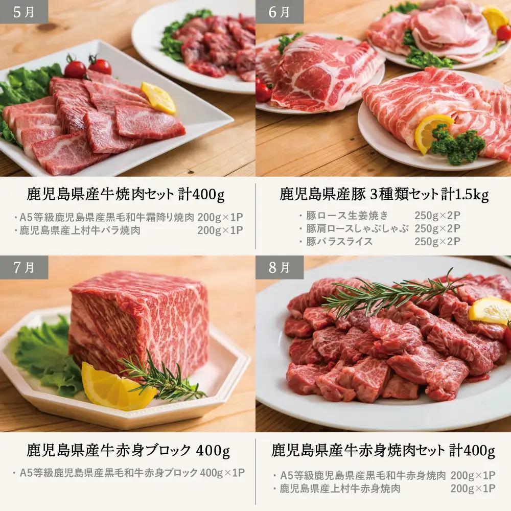 情熱牧場 鹿児島県産お肉の定期便 スタンダードコース（全12回） お肉 ステーキ すき焼き しゃぶしゃぶ 焼肉 BBQ おかず 煮込 角煮 ハンバーグ 餃子 A5等級 黒毛和牛 牛肉 豚肉 スライス 