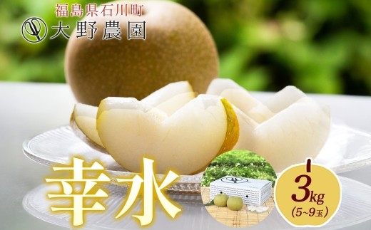 
            梨 幸水 3kg 5～9玉 ｜ なし 旬 果物 フルーツ 甘い シャキシャキ 産地直送 新鮮 お取り寄せ 大野農園 福島県 石川町【19005】
          