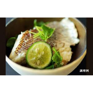 徳島県産鯛の鯛めしの素 570g (2合用)  5個セット