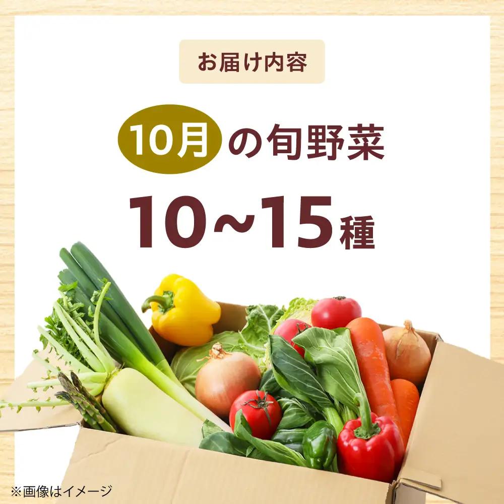 高槻野菜おまかせ詰め合わせセット 10月（10種〜15種）[AOCS016]野菜セット