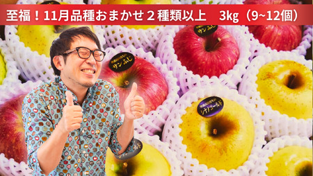 米崎りんご ぎゅっとセット 約3kg 2種類以上お届け りんご 旬