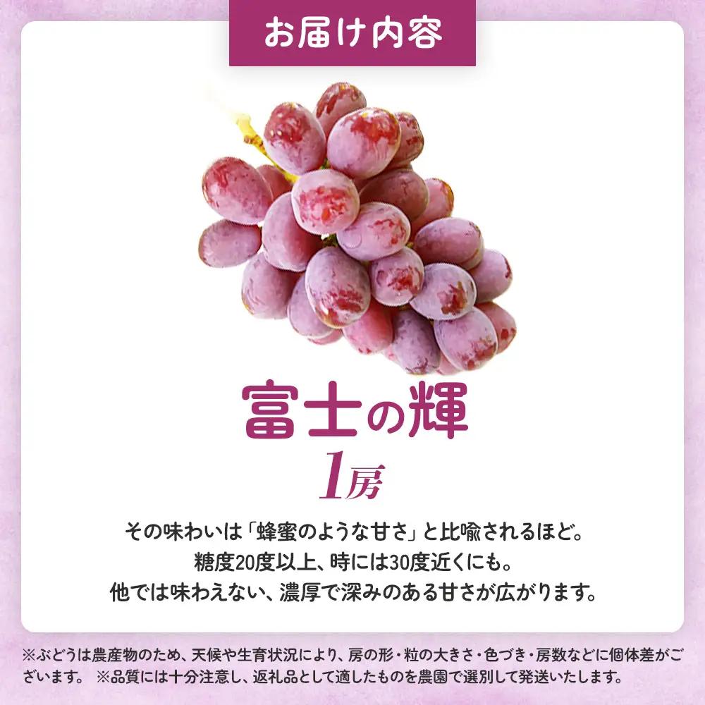 山梨県甲斐市産 富士の輝 1房 山梨県産ぶどう ぶどう