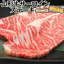 【ふるさと納税】山形牛 サーロインステーキ 250g×2枚(計500g) FZ23-266 山形 お取り寄せ 送料無料 ブランド牛 黒毛和牛 ブランド牛 焼肉屋 厳選 お歳暮 お祝い ステーキ サーロイン 山形牛