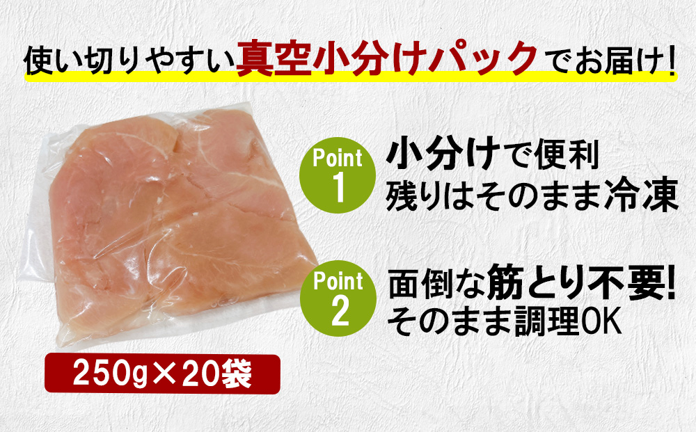 宮崎県産 若鶏筋なしささみ 5kgセット (250g×20袋) 鶏肉 ささみ 鶏ささみ 小分け 真空パック タンパク質 チキン冷凍 国産 宮崎県産 九州 送料無料