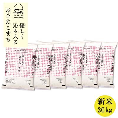ふるさと納税 大潟村 秋田県産 予約受付開始!あきたこまち【令和7年産】白米30kg(5kg×6)《10月中旬より発送》