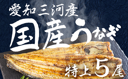愛知県三河産 うなぎ 白焼き 5尾 うなぎ