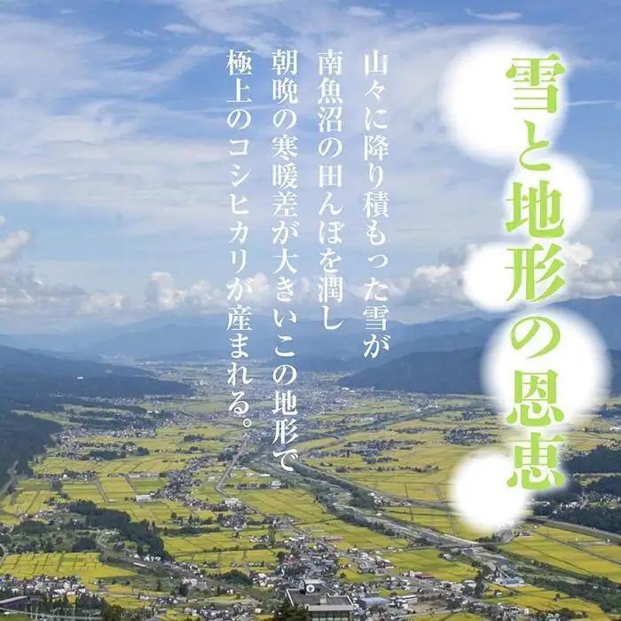 【定期便】 新潟県 南魚沼産 コシヒカリ お米 15kg×計6回 精米済み 半年間 毎月発送 こしひかり（お米の美味しい炊き方ガイド付き）