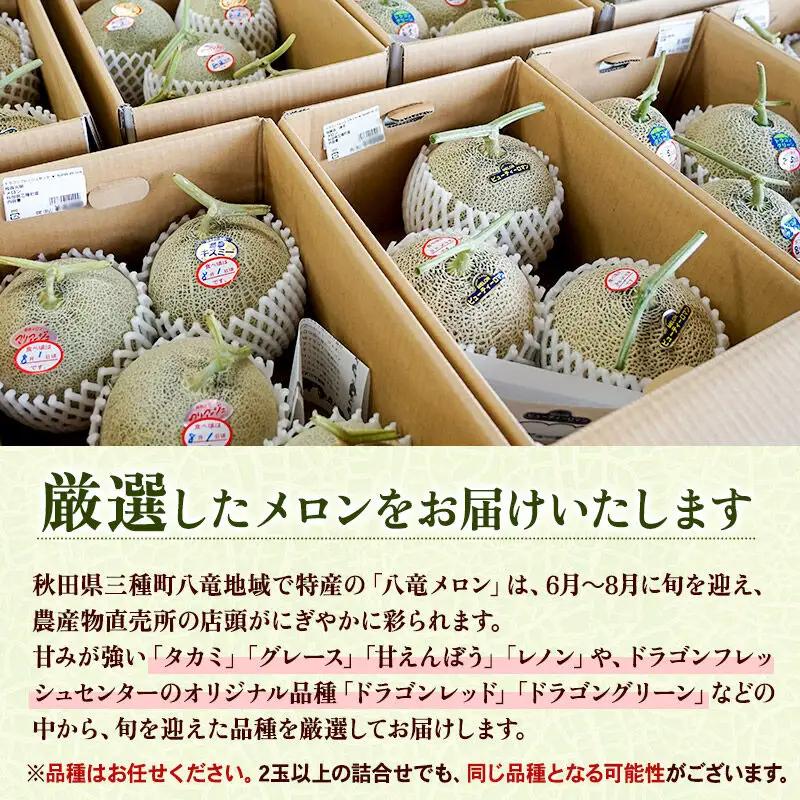 三種町特産 品種お任せ メロン 2玉箱