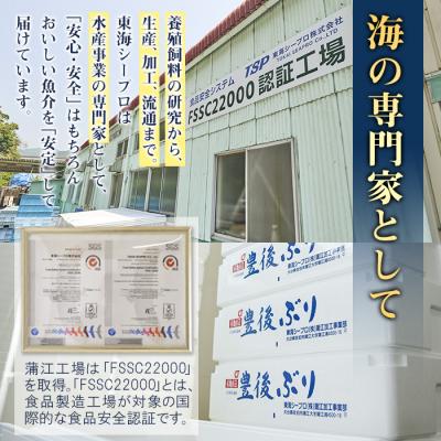 ふるさと納税 佐伯市 豊後ぶりフィーレ (計約1.1kg) |  | 02