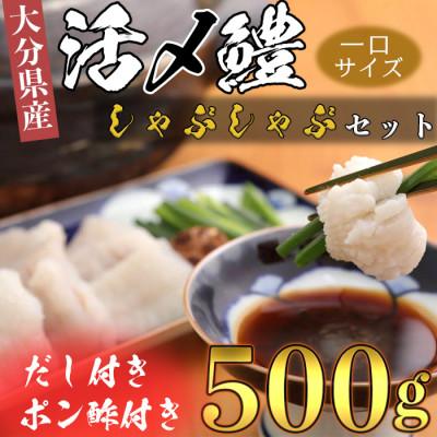 ふるさと納税 杵築市 大分県産活じめ鱧(はも)しゃぶしゃぶセット 500g [3〜5人前]
