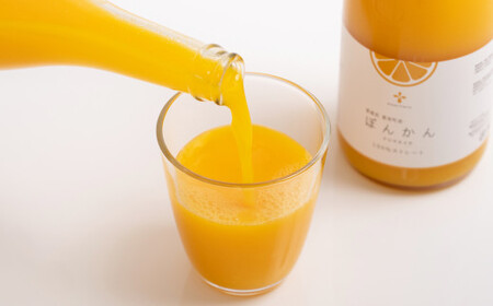 無添加 果汁100％ ぽんかんジュース 720ml×6本入 ポンカン ぽんかん 柑橘 みかん 蜜柑 ミカン 飲料 ジュース 100％ 愛媛みかん 愛媛県産 【2026年4月上旬～12月上旬まで発送予定