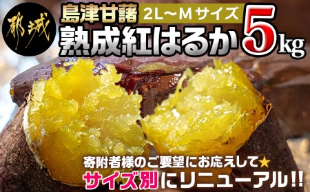 島津甘藷　熟成紅はるか 5kg(2L～M) _LD-A701_(都城市) 幻のサツマイモ 幻の品種 紅はるか 5kg 2L～M ベジエイト さつまいも 熟成 芋 定番 焼き芋 アウトドア