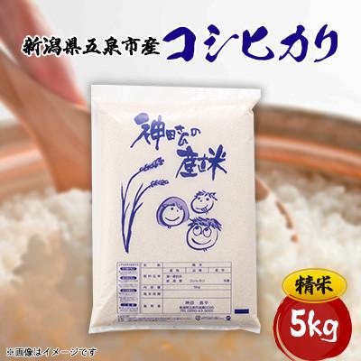 ふるさと納税 五泉市 【先行予約】令和7年産　わくわく農場の新潟県五泉産コシヒカリ　精米　5kg(5kg×1袋)