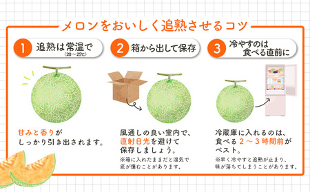 《2024年分受付中》大玉！とろける食感の北海道三笠メロン2玉入(3.2kg以上) 【01062】