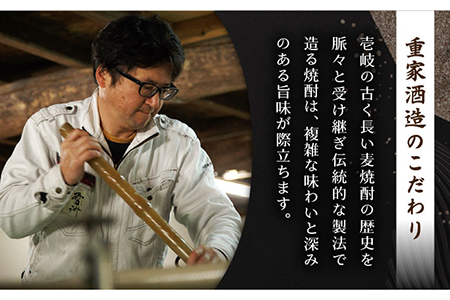 【全12回定期便】壱岐麦焼酎 雪洲（20度）2 本セット [JCU005] 20度 720度 酒 お酒 焼酎 麦焼酎 132000 132000円