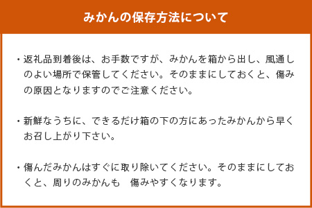 【先行予約】（2026年11月上旬～発送）”わーがと”鹿島産がばい訳アリみかん 約6kg【サイズ別】【期日指定不可】国産 佐賀県産 ミカン 蜜柑 果物 フルーツ AA-39