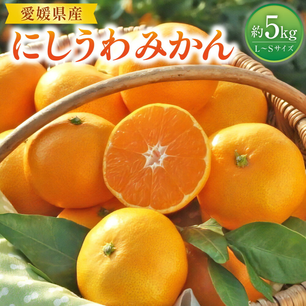 【ふるさと納税】にしうわみかん L～Sサイズ 約5kg みかん ミカン 蜜柑 柑橘 フルーツ 果物 果物 くだもの 宇和 お取り寄せ デザート おやつ 常温 送料無料【2025年11月下旬～2025年12月下旬発送予定】(518-1)