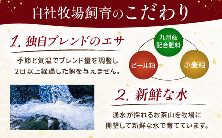 【全6回定期便】『純国産』熊本の味 コリコリ 赤身 馬刺し 計約400g（約200g×2パック）タレ付【有限会社 九州食肉産業】[AYCN132]