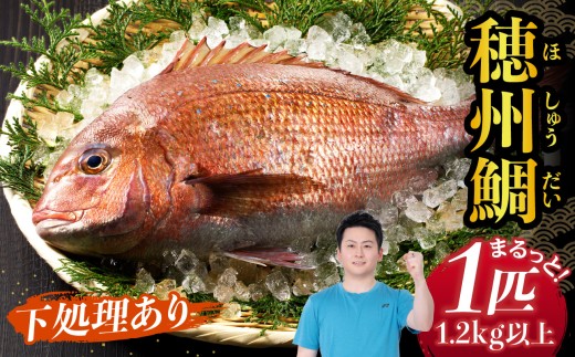 渡邊水産 穂州鯛（下処理あり）／ ブランド鯛 三枚おろし 内臓 鱗 処理 産地直送 まるごと 1尾 1匹 鮮魚 真鯛 マダイ 鯛 タイ 鯛しゃぶ 鯛茶漬け 鯛めし 刺身 塩焼き アラ 魚 魚介 海鮮 養殖 佐賀県 玄海町 冷蔵 送料無料