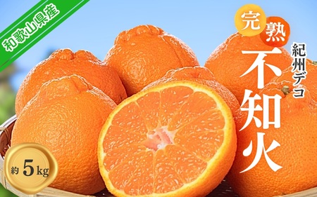 果肉プリプリ♪　完熟紀州デコ(不知火) 約5kg デコポンと同品種 ＜2026年2月下旬頃〜2026年3月中旬頃発送＞（お届け日指定不可）/ 不知火 しらぬい デコポン みかん 柑橘 フルーツ 果物 和歌山県産 古座川町【uot707A】