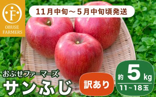 【訳あり】 サンふじ 約5kg 11～18玉［おぶせファーマーズ］  不揃い 規格外 家庭用 りんご 林檎 リンゴ 果物 フルーツ ふじ 長野 信州 数量限定 令和7年産 【2025年11月中旬～2026年5月中旬頃まで発送予定】［F-24］