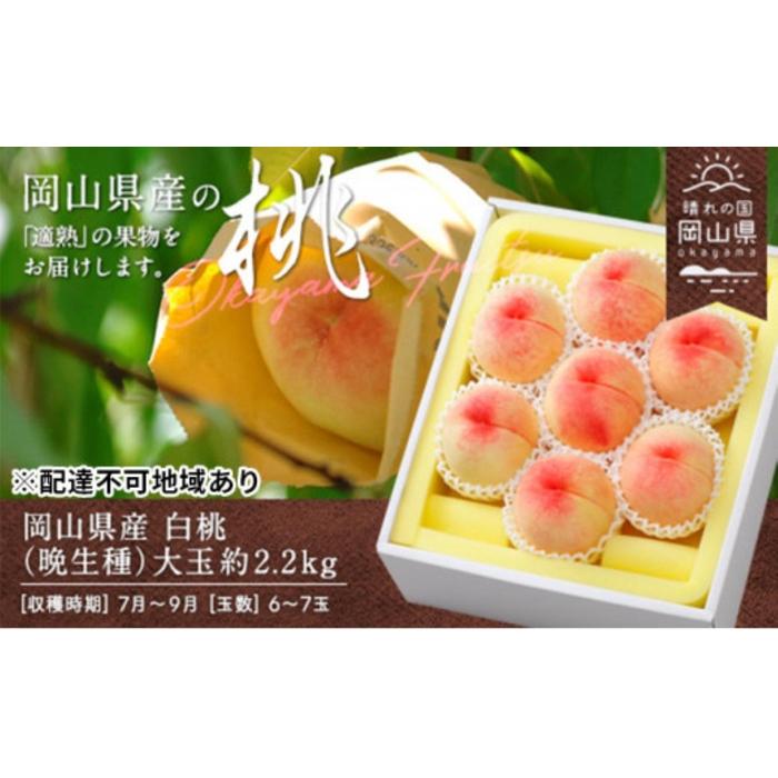 【ふるさと納税】桃 2026年 岡山県産 白桃（晩生種） 大玉 約2.2kg 6～7玉（クール便） | フルーツ 果物 くだもの 食品 人気 おすすめ 送料無料
