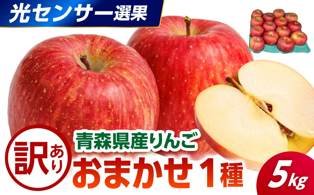 
                  【選べる配送時期】【訳あり】 りんご 約5kg 品種おまかせ1種 ≪光センサー選果保証≫  青森県産
                