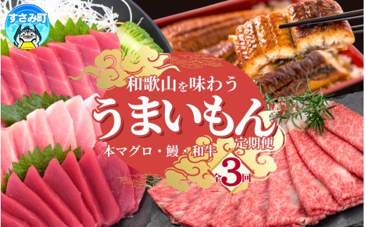
                  【3回定期便】【毎月お届け】和歌山うまいもん定期便 国産うなぎ･高級和牛･本マグロの人気返礼品をお届け！ 肉 お肉 牛肉 和牛 黒毛和牛 熊野牛 ブランド牛 しゃぶしゃぶ すき焼き マグロ まぐろ 鮪 トロ 赤身 大トロ 中トロ 柵 刺し身 海鮮 人気 おすすめ うなぎ定期便 肉定期便 魚定期便  鰻 ウナギ うなぎ蒲焼 うなぎの蒲焼【tkb300】 
                