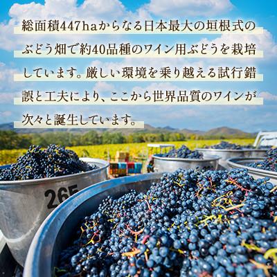 ふるさと納税 浦臼町 鶴沼収穫ワイン【スペシャルキュヴェ ロンド】赤ワイン 2021年産 各1本(合計2本) |  | 02
