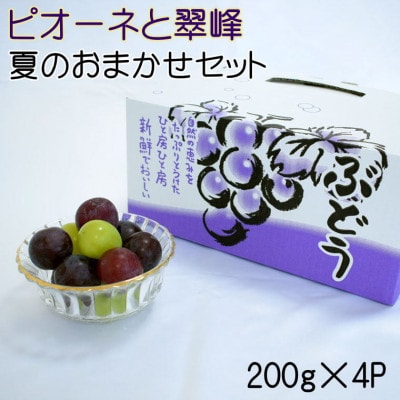 ピオーネと翠峰の夏のおまかせセット約200g×4パック(九度山町)【配送不可地域：離島・北海道・沖縄】【1407470】