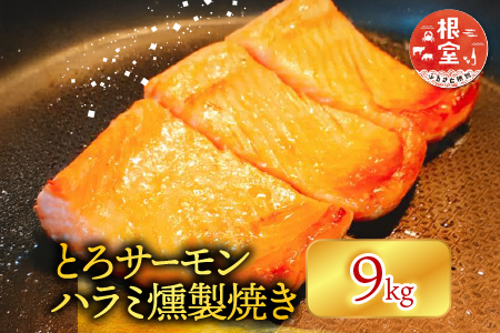 とろサーモンハラミ燻製焼き9kg D-09025