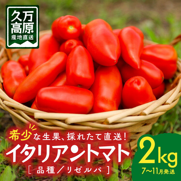 【ふるさと納税】イタリアントマト『リゼルバ』2kg＜先行予約＞ | 愛媛県 久万高原町 イタリアン トマト リゼルバ サンマルツァーノ 料理 ピザ パスタ ソース用 スープ 煮込み用 加熱用 炒め物 サラダ ※北海道・沖縄・離島への配送不可 ※2025年7月下旬頃より順次発送予定