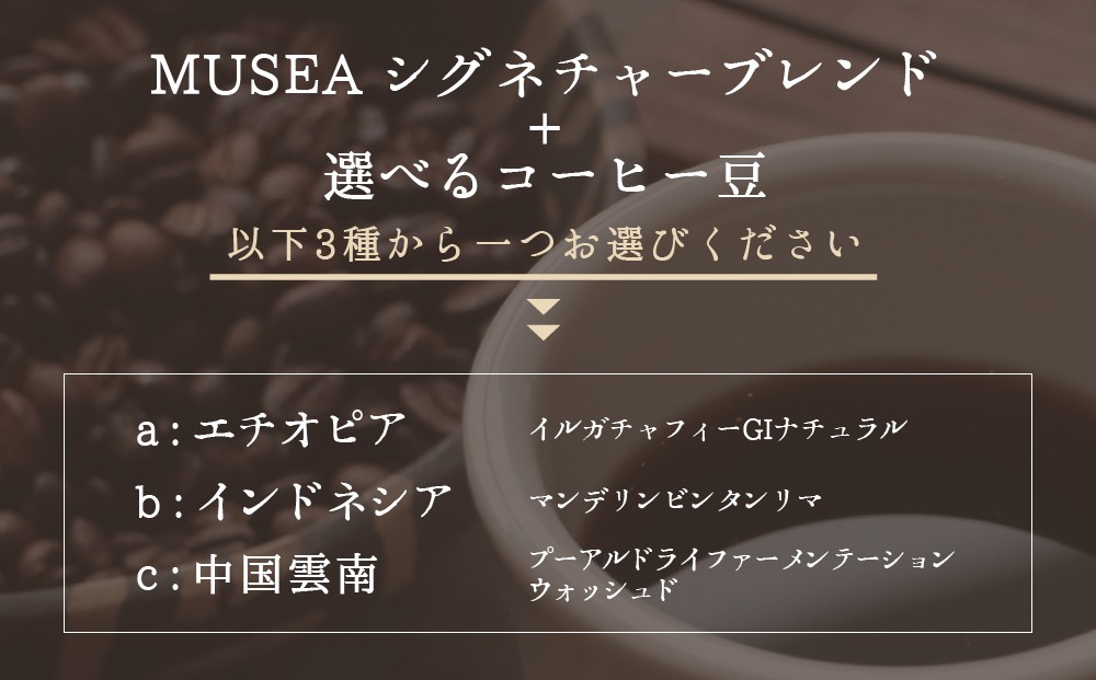 自家焙煎コーヒー豆 飲み比べ 選べる 計1㎏