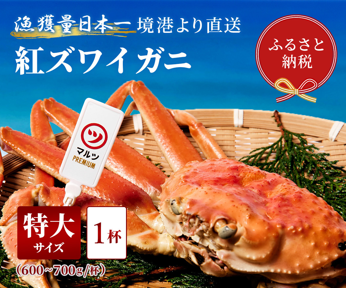
            【蟹セレブ】紅ズワイガニ　特大1杯（600～700g×1）
          