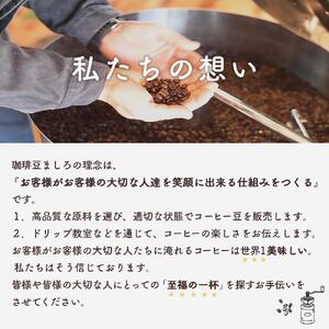 カフェオレベース 2本 (無糖 600ml 瓶）｜カフェオレ 珈琲 アイスカフェオレ 尾道市