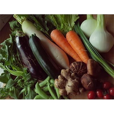 ふるさと納税 土佐市 【土佐野菜】旬の野菜の詰め合わせと栽培期間中に農薬不使用の生姜100g付き【土佐市】