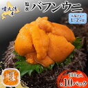 【ふるさと納税】北海道 噴火湾産 塩水 バフンウニ 100g 10パック 計1kg うに ウニ 雲丹 海鮮 海の幸 魚介類 ウニ丼 お寿司 濃厚 無添加 産地直送 お取り寄せ 山村水産 送料無料　魚貝類・加工食品・魚貝類・ウニ・雲丹