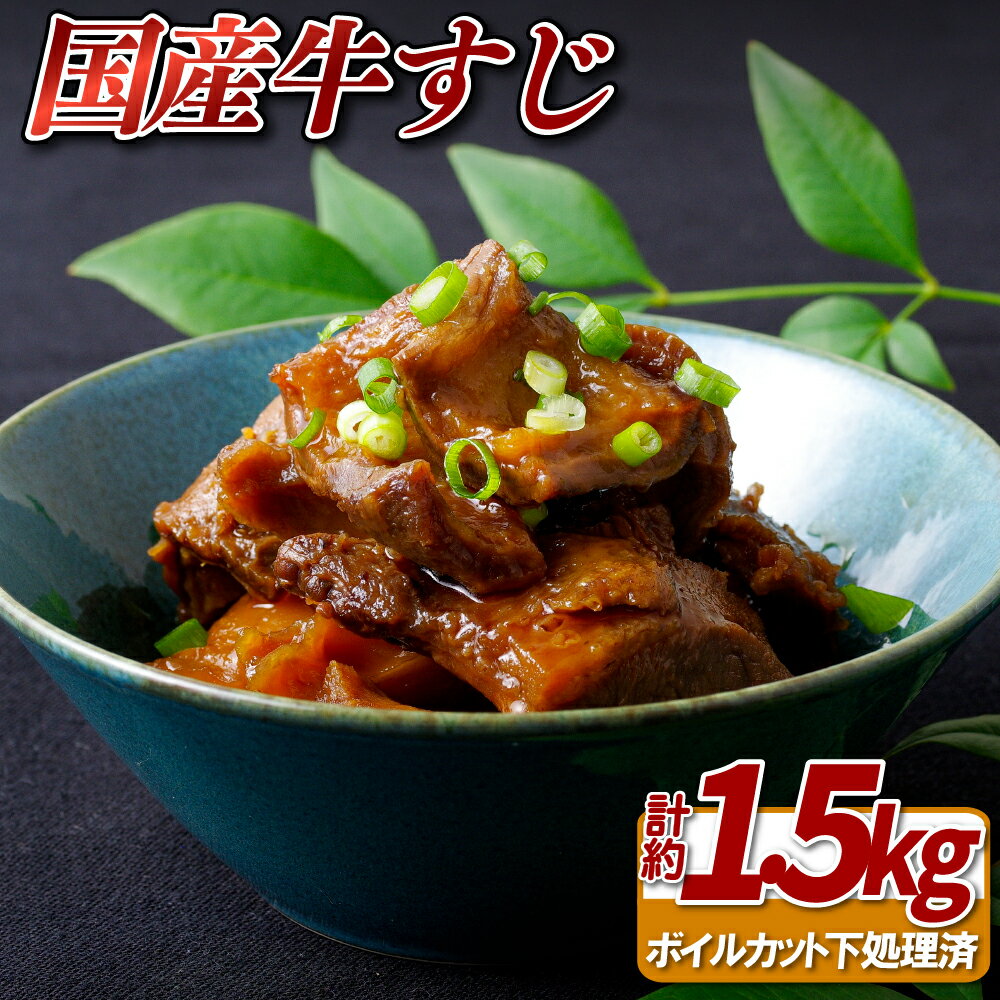 【ふるさと納税】【ホルモン専門店自慢の牛すじ】国産牛 牛すじ 約1.5kg ホルモン 煮込み料理やカレーにも
