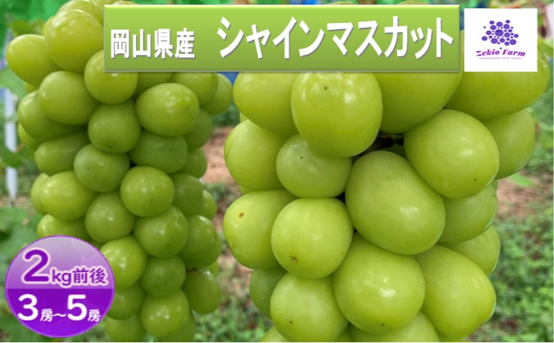 
            [№5615-0624]シャインマスカット 2kg 3房～5房 葡萄 フルーツ 岡山 高梁市産 ぜきお農園 ぶどうclub 2025年 先行予約
          
