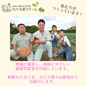 《訳あり》九十九里ファームこだわりたまご贈答用30個～あおい海・みどりの里～（赤玉or白玉） ／ たまご 卵 玉子 タマゴ 白玉 赤玉 訳あり 訳アリ 贈答用 ギフト お歳暮 九十九里ファーム 千葉県