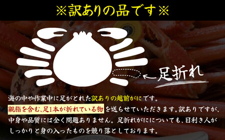 【先行予約】名人が茹でる 指折れ訳あり越前がに(大)1杯 やまに仕込み 地酒(丸岡城)付き【2025年3月発送分】[G-4302_03]