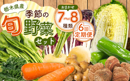 【定期便6回】季節の旬野菜おまかせセット | 定期便 農薬不使用 化学肥料不使用 珍しい 栃木県 下野市
