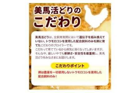 鶏肉 3kg モモ ムネ ササミ 詰め合わせ かねひ活鳥《30日以内に出荷予定(土日祝除く)》│ 鶏肉 3kg モモ ムネ ササミ 詰め合わせ 《30日以内に出荷予定(土日祝除く)》│鶏肉鶏肉鶏肉鶏肉